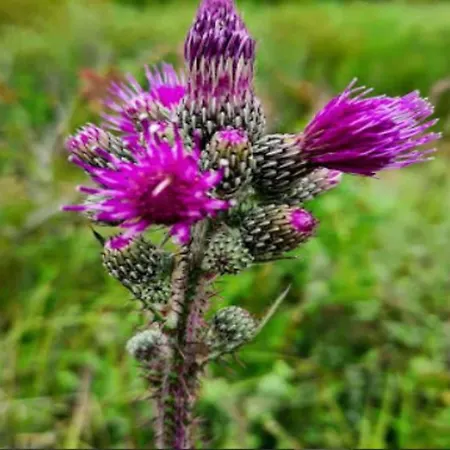 In Groote Keeten Near The Appartement Callantsoog